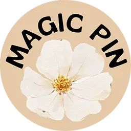 Magic Pin